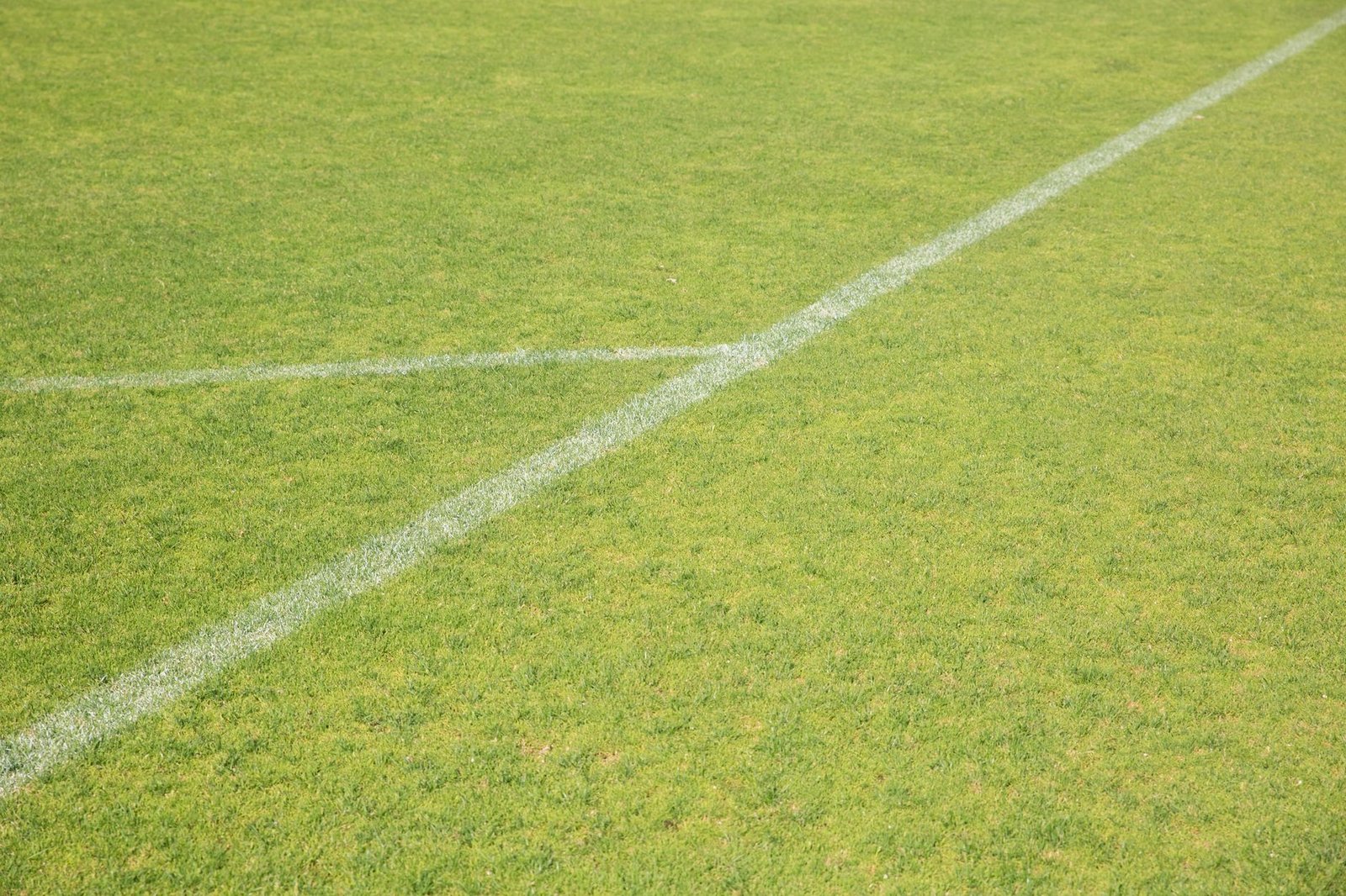 Marked grass sports field near Brownsville