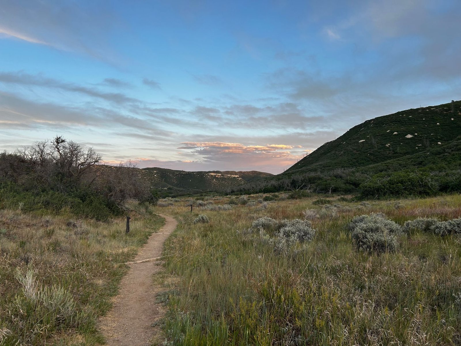 A dirt trail through grassland and foothills at dusk