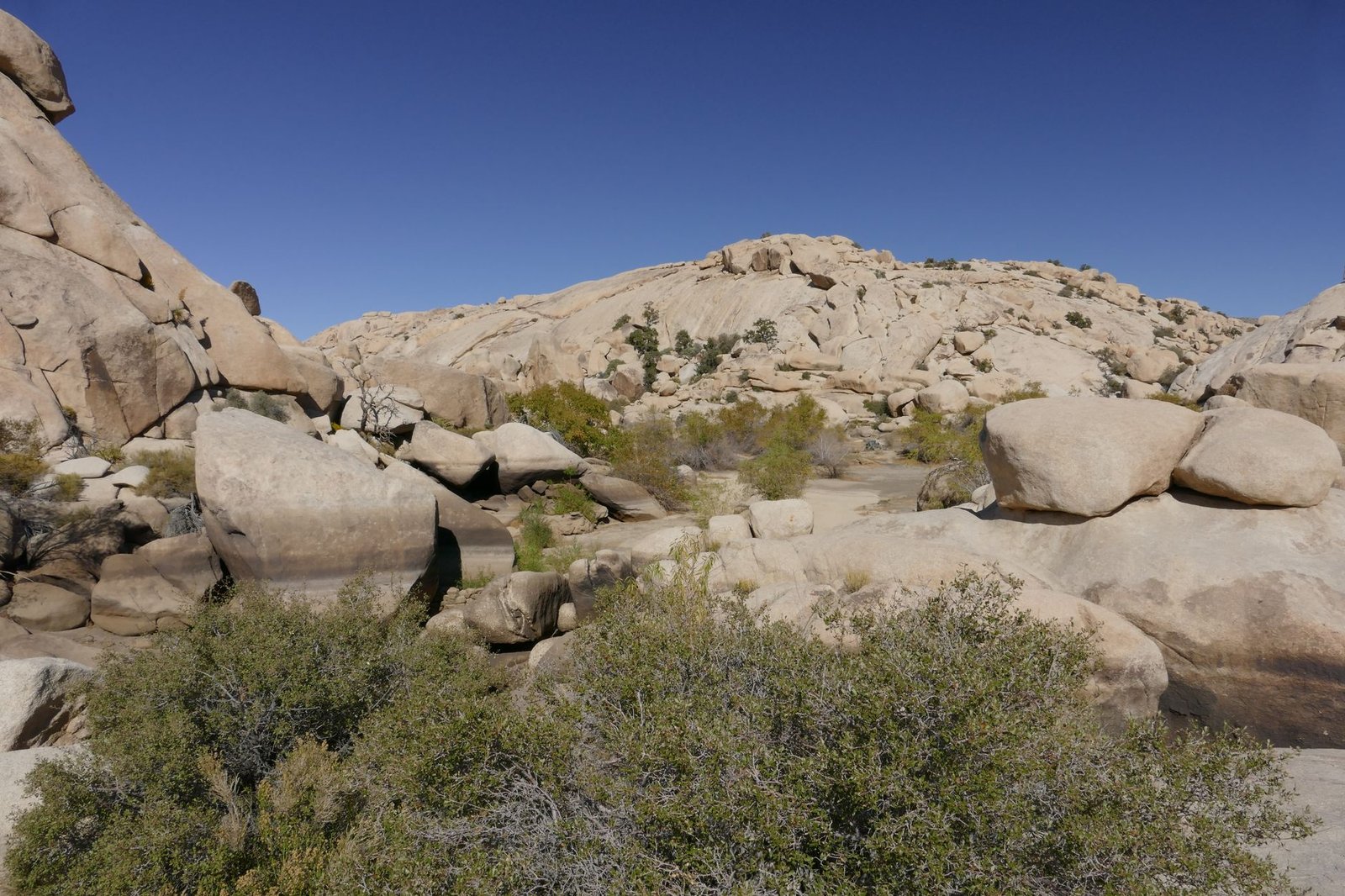 Large sandstone boulders and chaparral brush in a rocky canyon