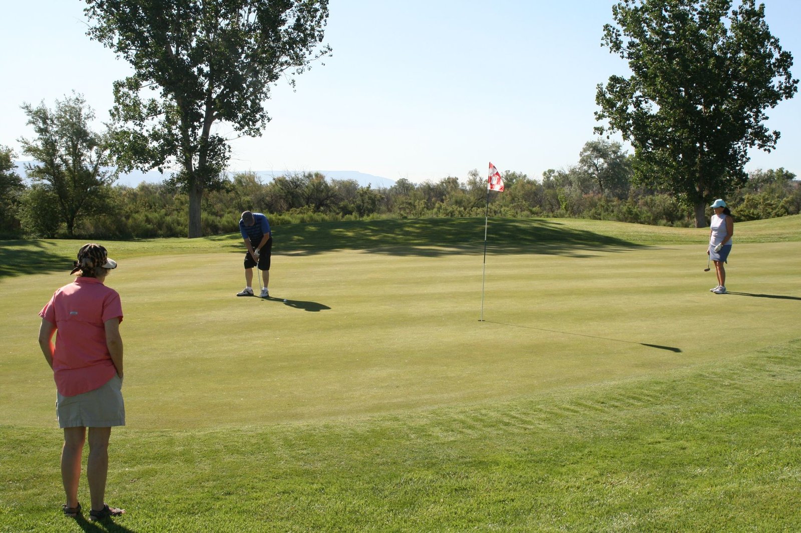 Golfers on a putting green with trees around the course